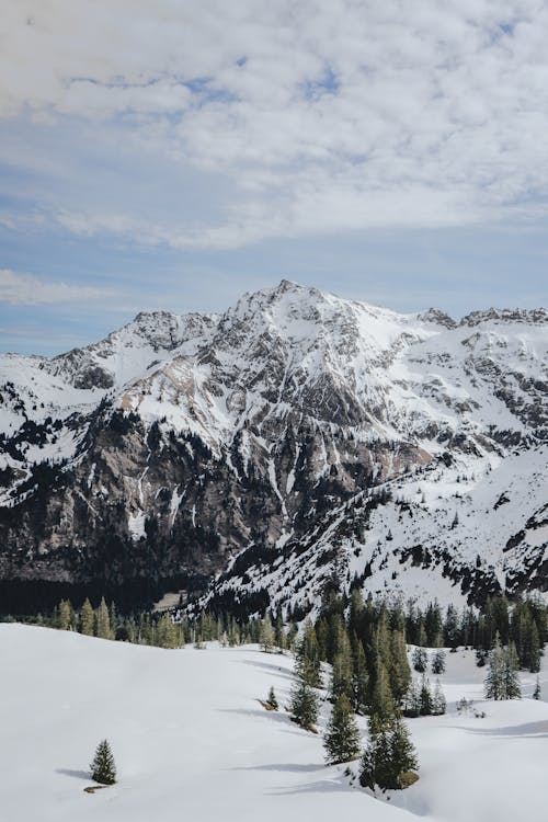 A snowy mountain range with trees and snow