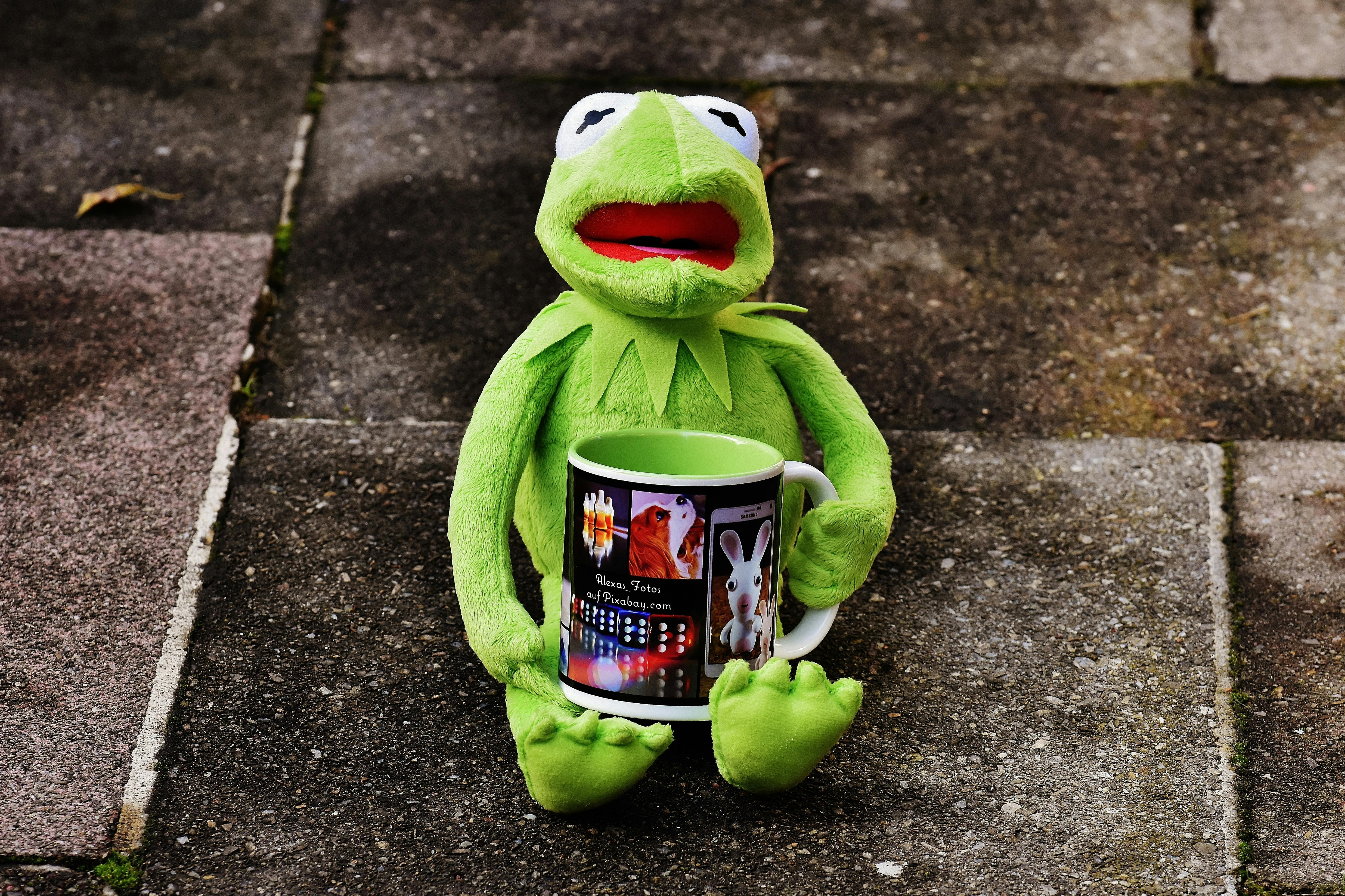 Kostenlose Bilder Kermit Der Frosch
