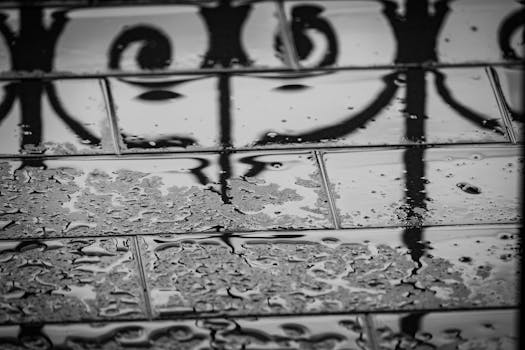 Black and white image of rain-soaked pavers reflecting iron fence shadows, creating an urban aesthetic.