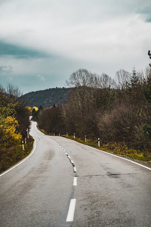 Fotobanka s bezplatnými fotkami na tému dedinský, krajina, les