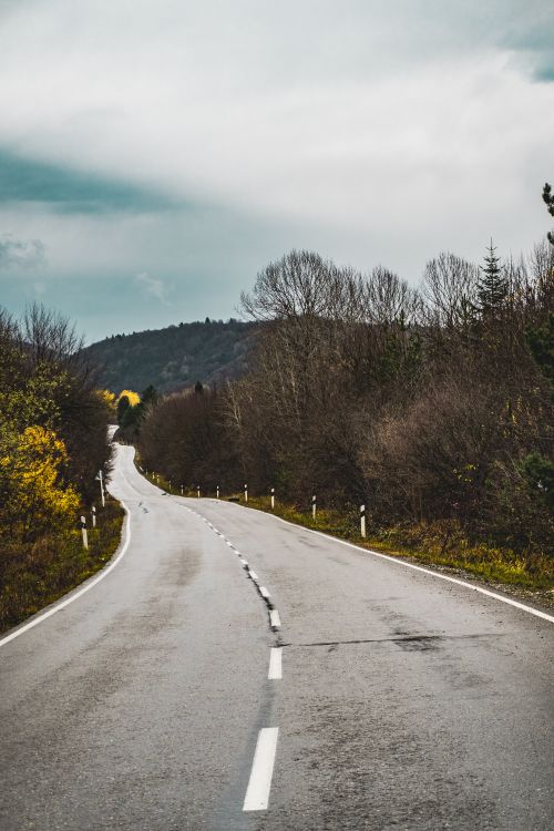 Free Empty curved road through autumn trees under cloudy sky, perfect for travel themes. Stock Photo
