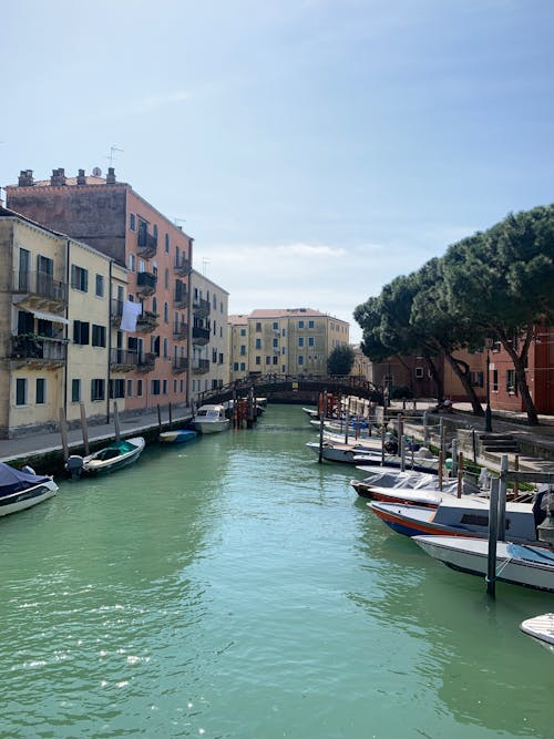 Δωρεάν στοκ φωτογραφιών με αστικός, Βενετία, δέντρα
