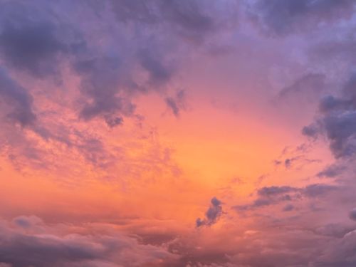 Free Stunning view of a vibrant sunset sky with clouds in Auckland, New Zealand. Stock Photo