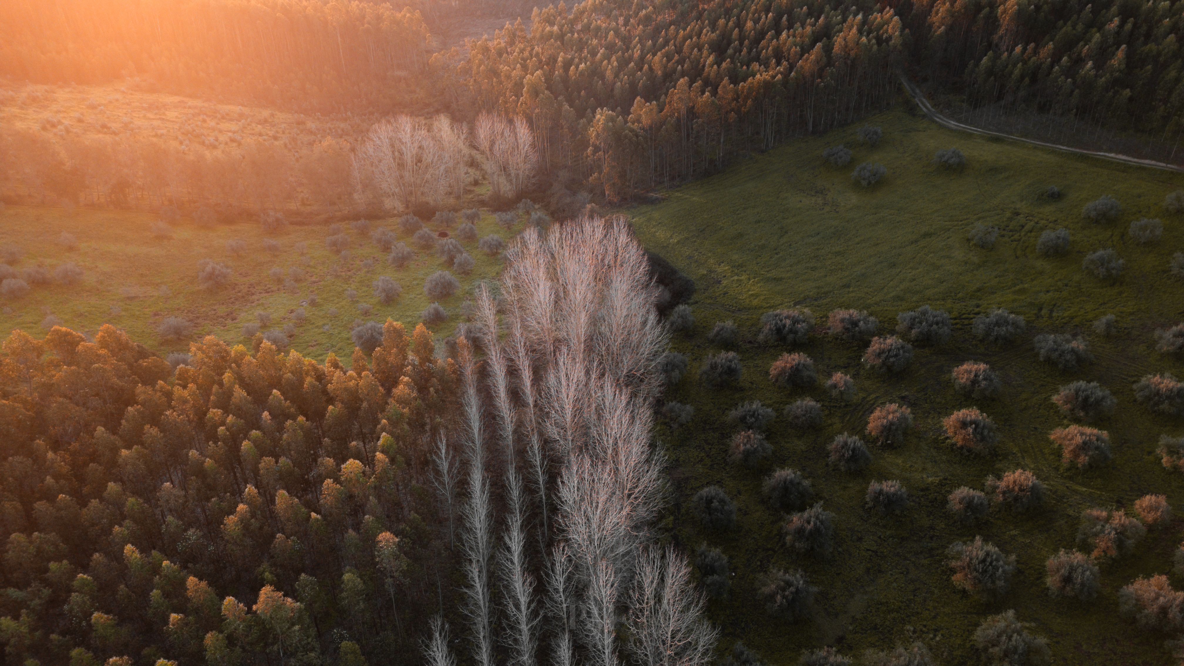 A stunning sunset aerial view of the lush landscapes and forests in Alcanede, Portugal.