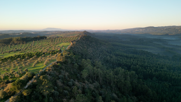 Explore a breathtaking aerial view of lush countryside, featuring forests and fields under a clear sky.