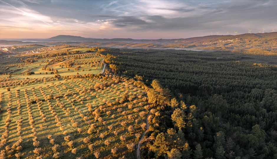 El dron captura el impresionante paisaje rural de Alcanede, Portugal, al atardecer.