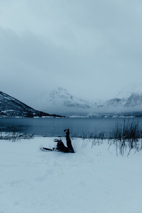 คลังภาพถ่ายฟรี ของ lofoten, กลางวัน, กลางแจ้ง