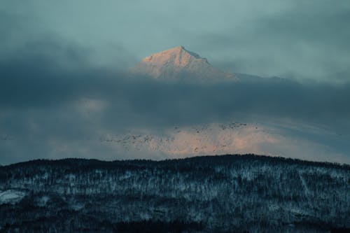 A mountain is seen in the distance with snow on it