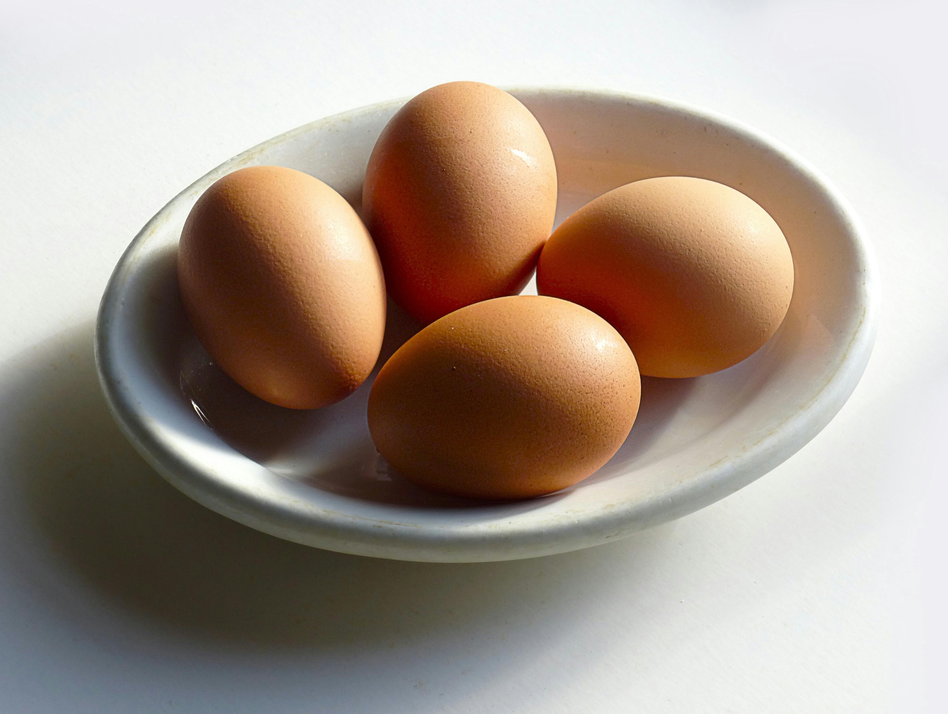 Kostenloses Foto zum Thema: eier, essen, lebensmittel