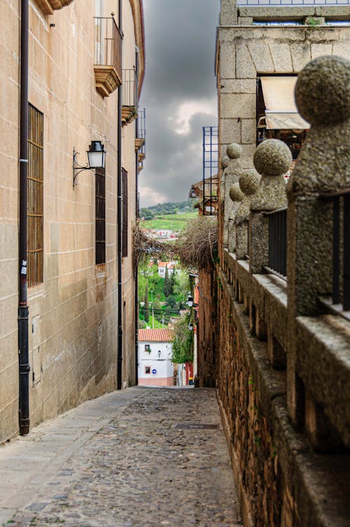 Foto d'estoc gratuïta de buit, carrer, carrers de la ciutat