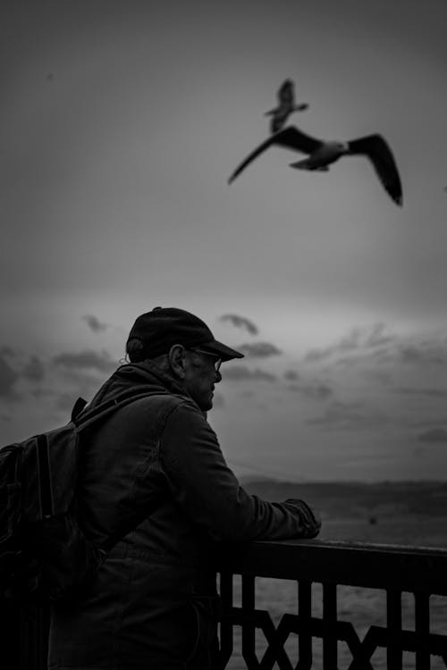 A man looking out over the ocean with a seagull flying overhead