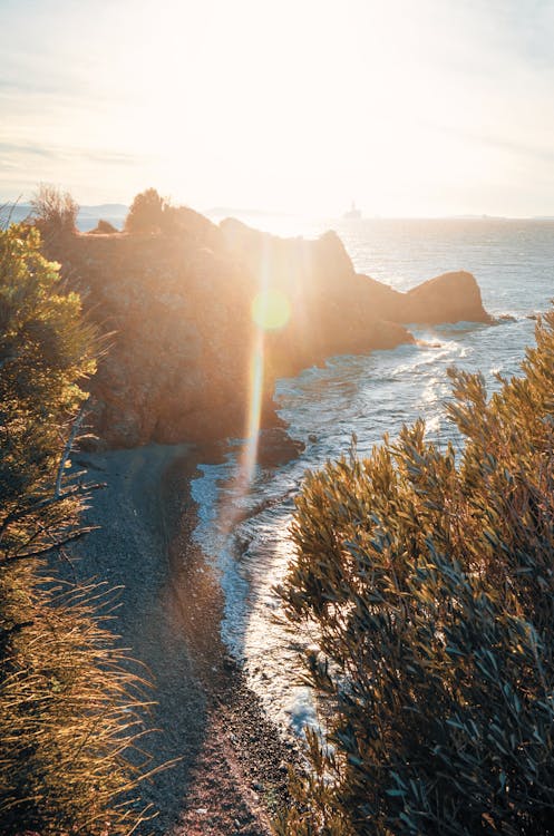 Free stock photo of nature, sea, sun