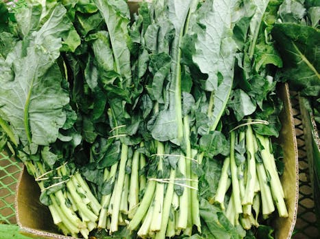 Insalata di verdure a foglia verde