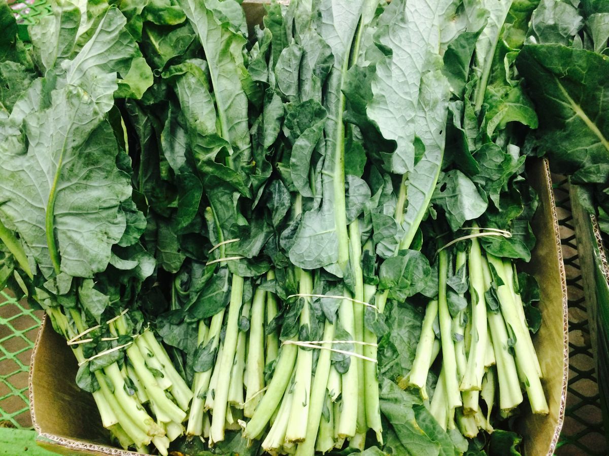 Fresh green leafy vegetables — key produce covered by the FDA Food Traceability List under FSMA 204