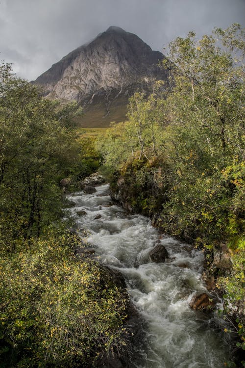 Free Mountain And Stream Stock Photo