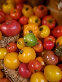 A vibrant collection of heirloom tomatoes showcasing diverse colors and shapes, perfect for fresh ingredients.