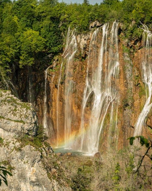 Imagine de stoc gratuită din arbori, călătorie, cascadă