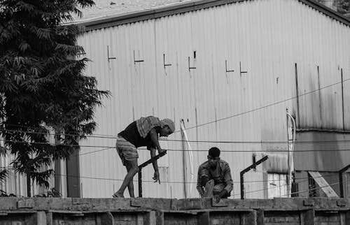 Ingyenes stockfotó barbwire, építés, fal témában