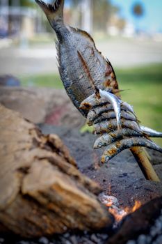 Grilled fish over open fire in Malaga, capturing the essence of traditional Spanish espeto cooking.
