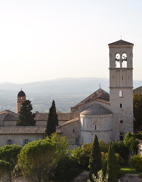 Foto d'estoc gratuïta de arbres, assisi, basílica