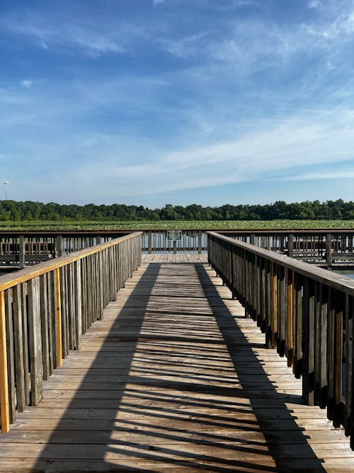 Photos gratuites de bois, jetée, lac