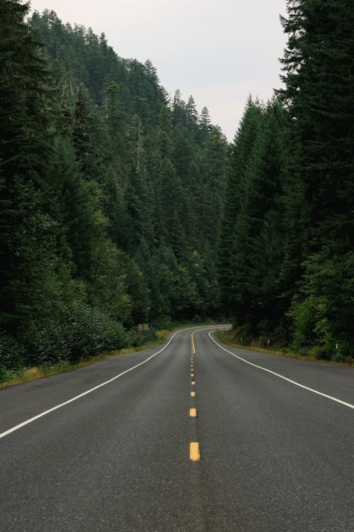 Empty road 