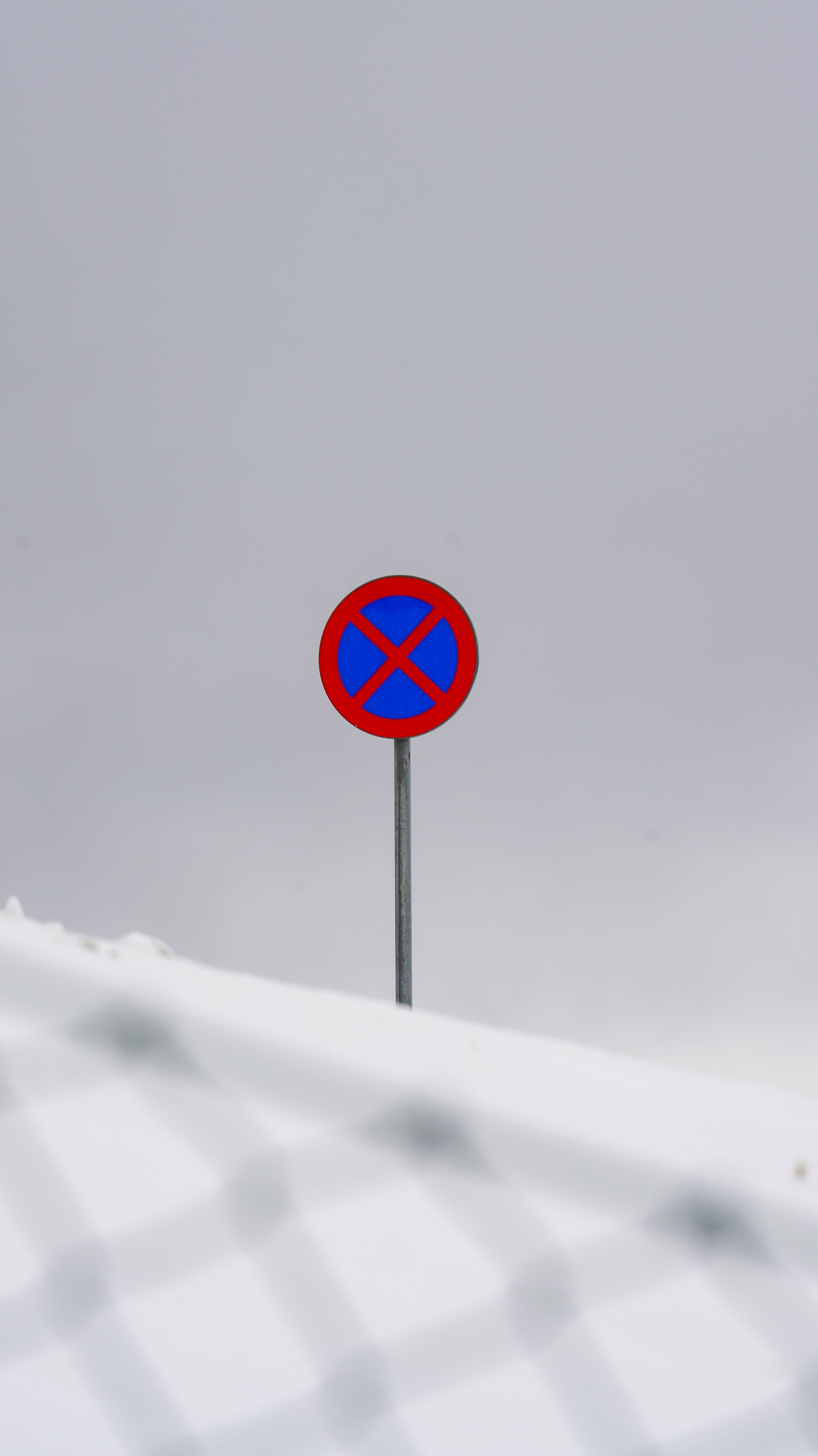 A no parking road sign stands amid a snowy winter environment, offering a minimalistic scene.