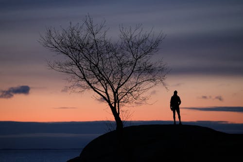 Ilmainen kuvapankkikuva tunnisteilla auringonlasku, hämärä, maisema