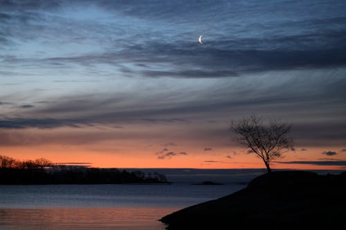 Gratis lagerfoto af landskab, silhouet, sø