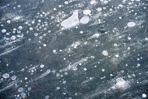 Ice and bubbles on the surface of a lake