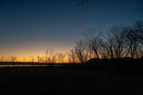 天性, 日落, 景觀 的 免費圖庫相片