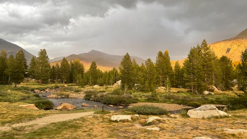 Free A river runs through a forest under a cloudy sky Stock Photo