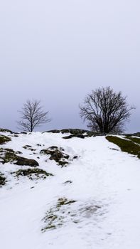 A serene winter landscape with snow-covered rocks and leafless trees on a hillside.
