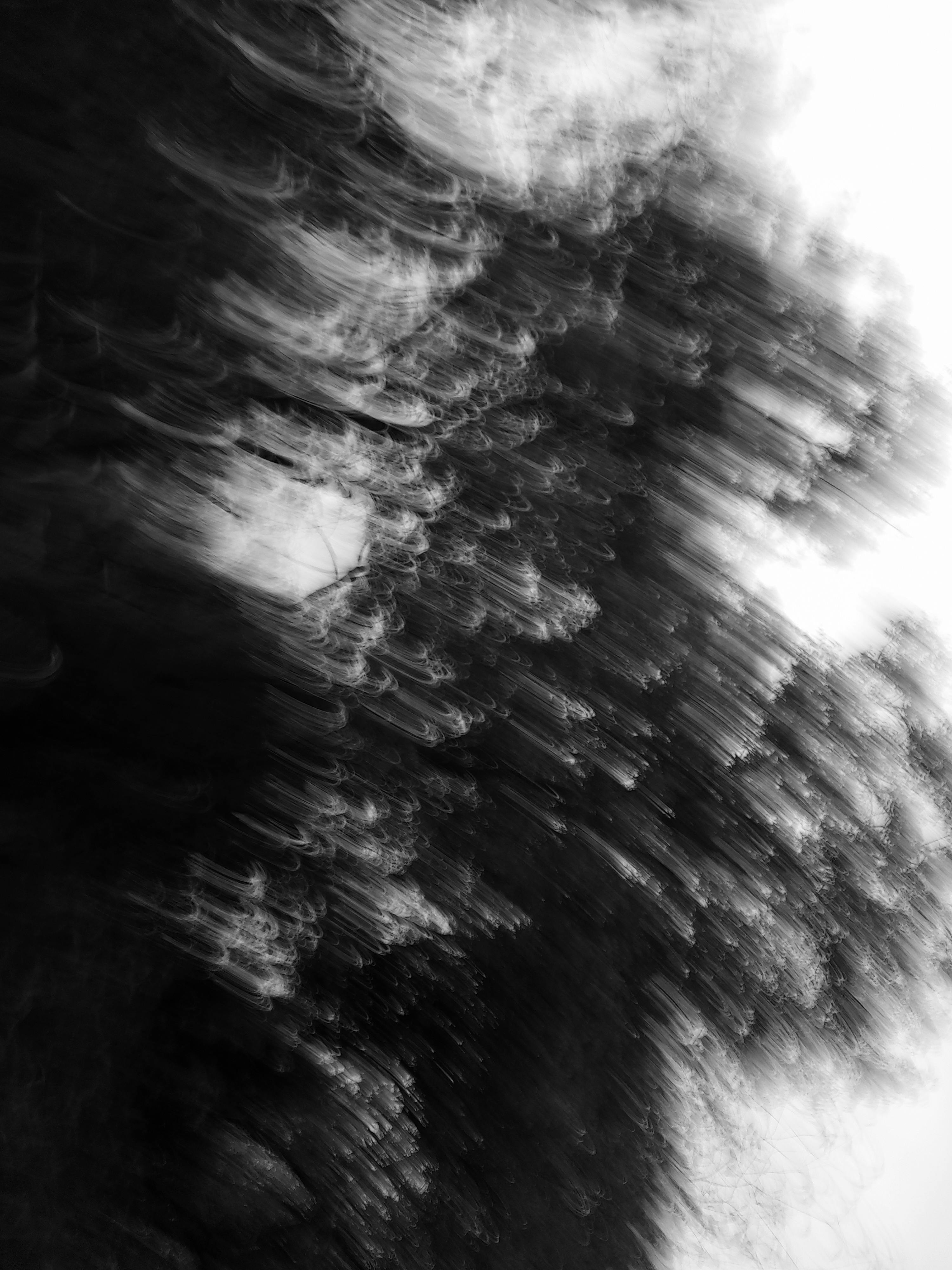 black and white abstract