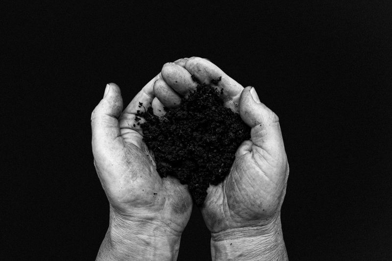 Mains d'agriculteur bio