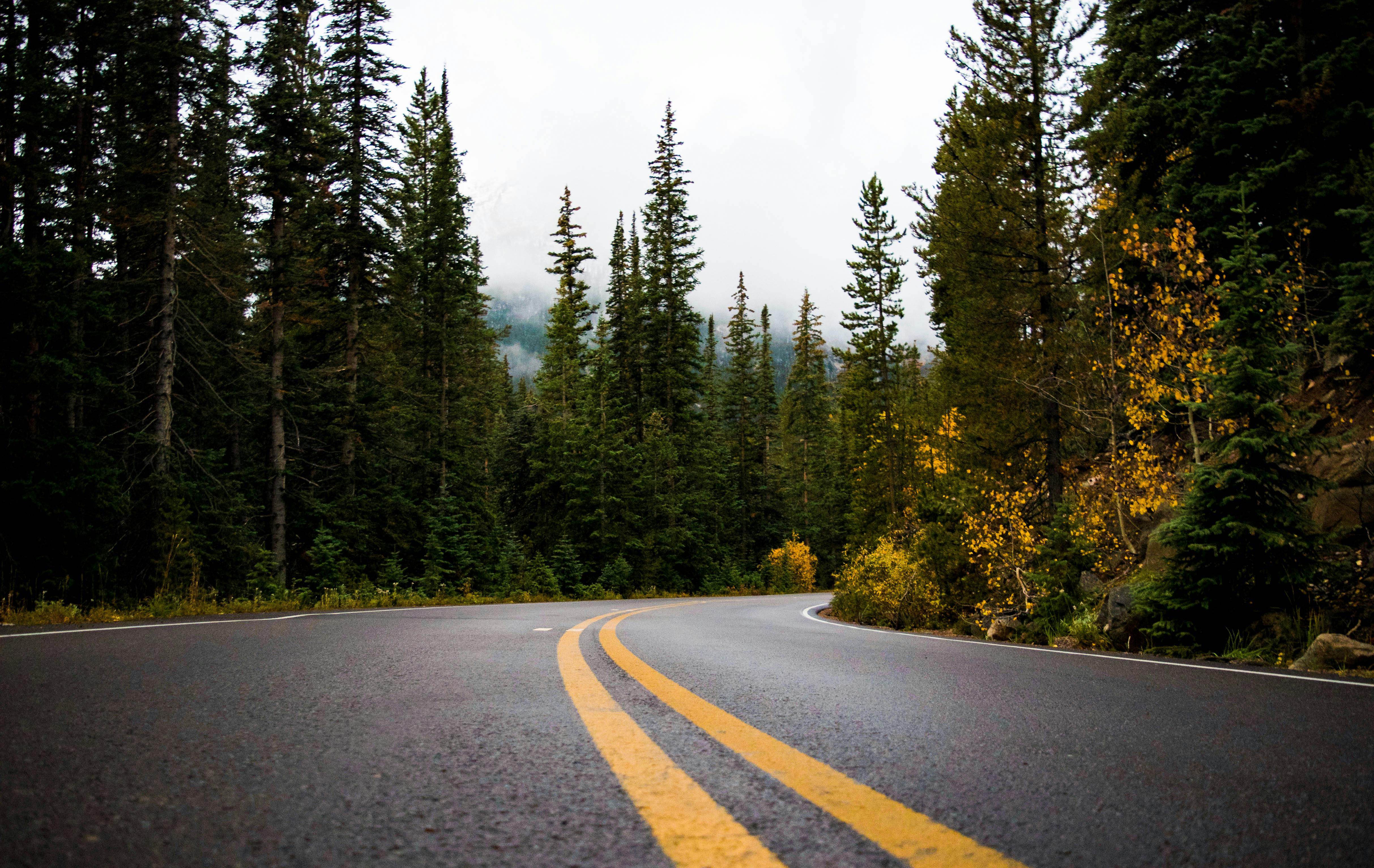 Road Images · Pexels · Free Stock Photos