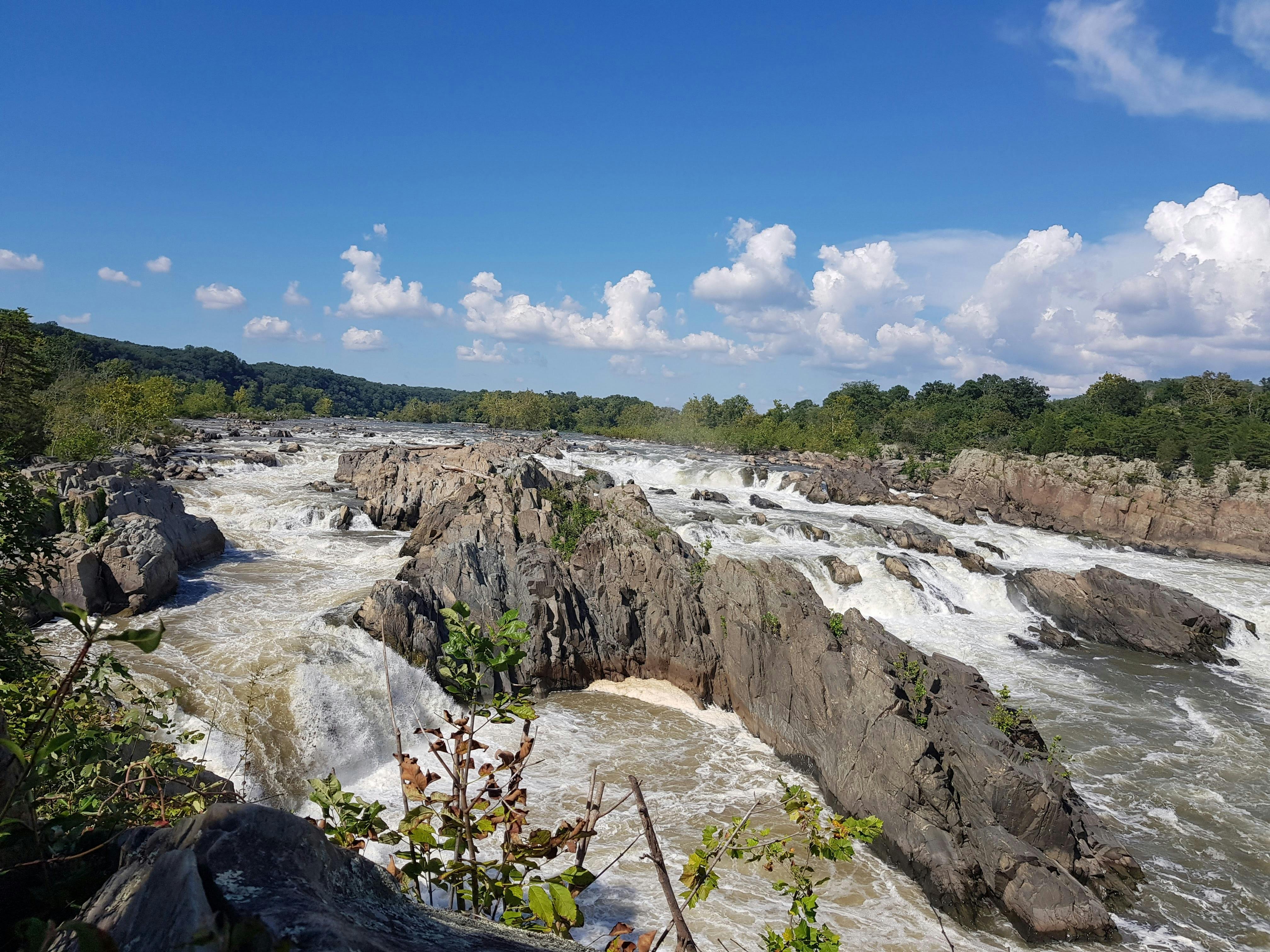 붉은 꽃잎과 물결, 감정의 파동을 표현한 이미지 - 출처: Pexels