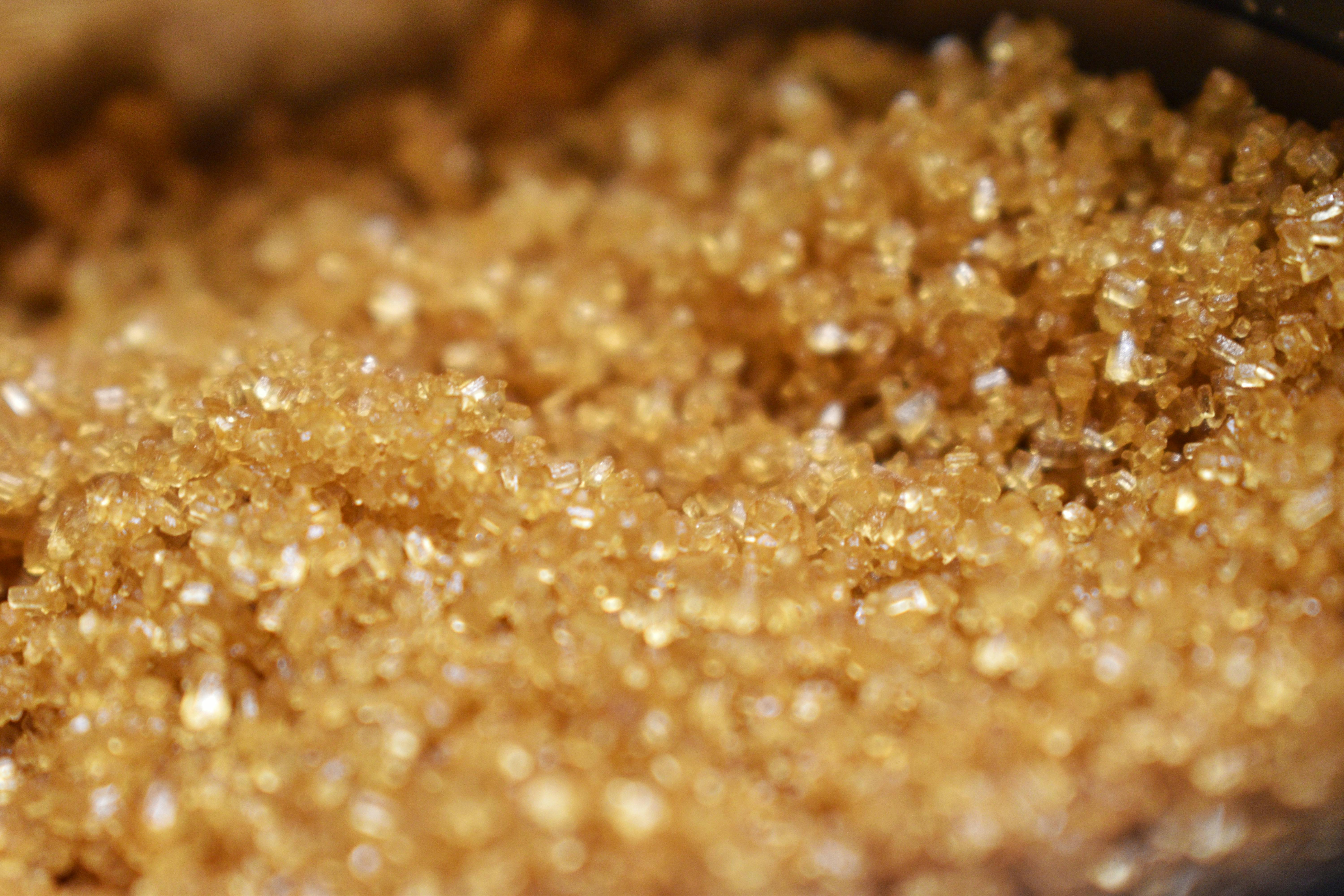 Japanischer Tempel in Kyoto mit Kirschblüten