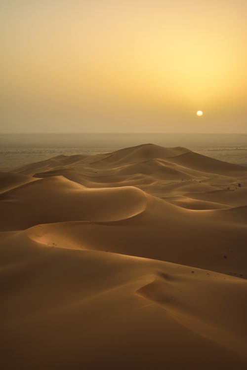 Free Photo Of Desert Stock Photo