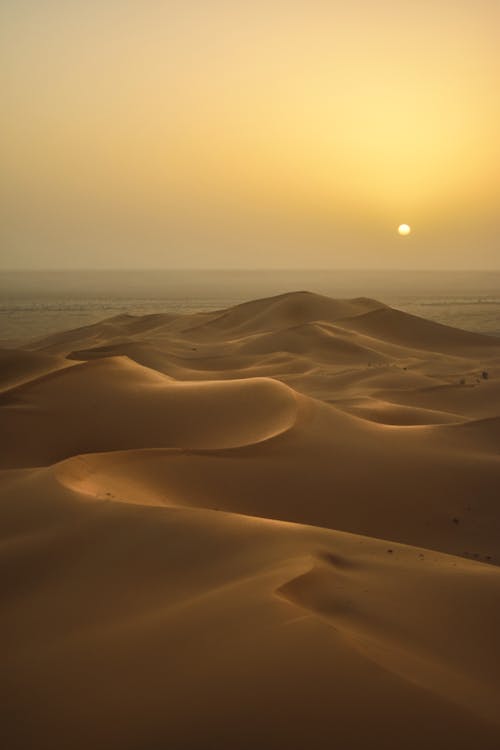 Фотография пустыни