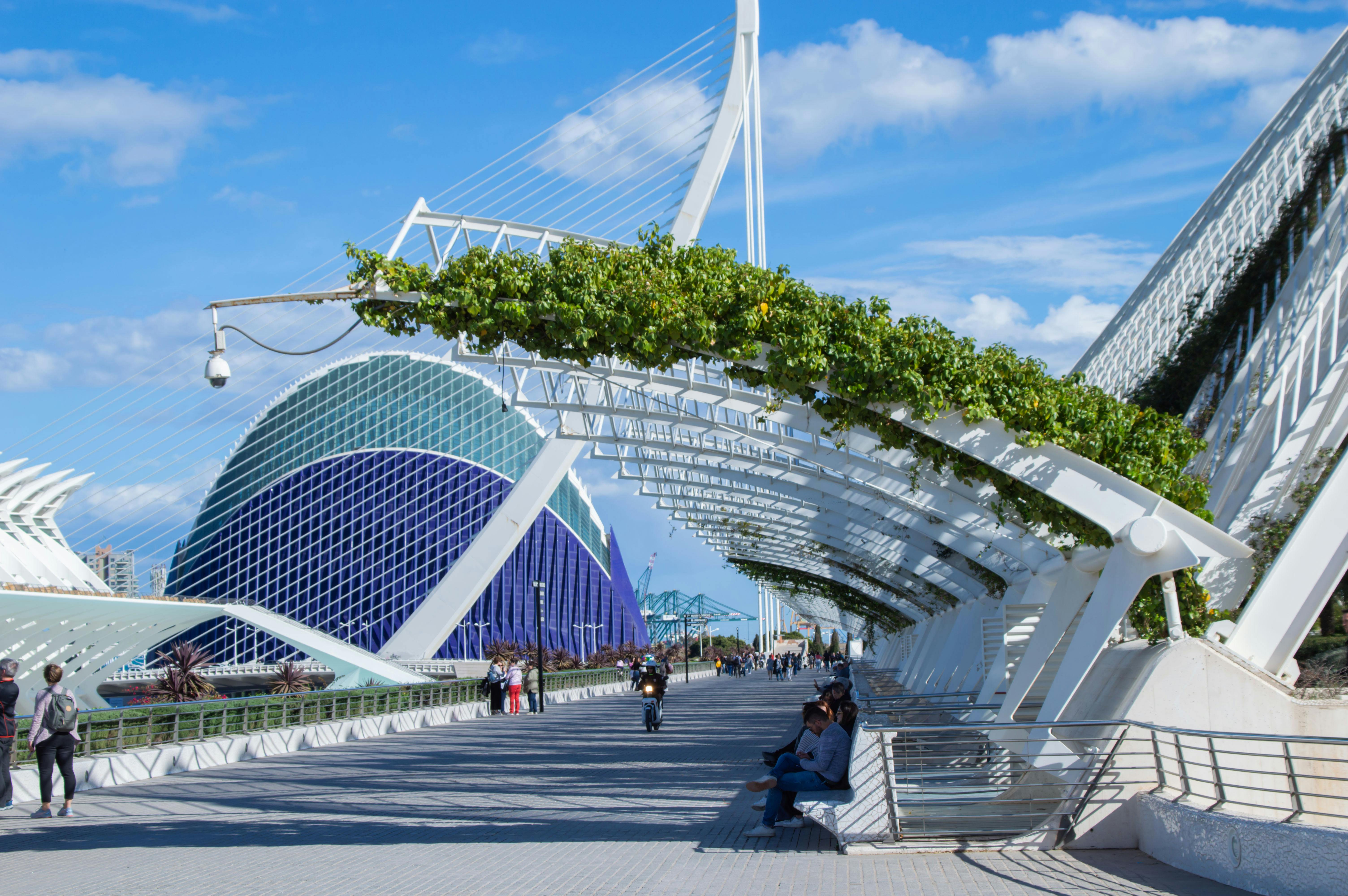 Stunning view of Valencia's City of Arts and Sciences featuring modern architecture and urban life.
