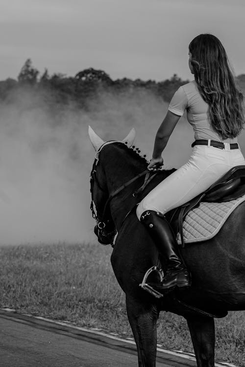 Fotos de stock gratuitas de animal, anochecer, montando a caballo
