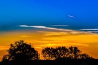 充满活力的天空下，树木的剪影与令人惊叹的日出交相辉映