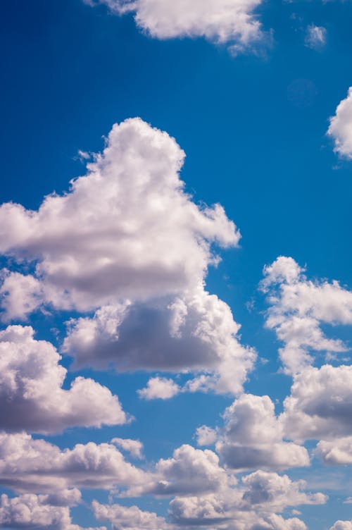 бесплатная Белые кучевые облака Стоковое фото