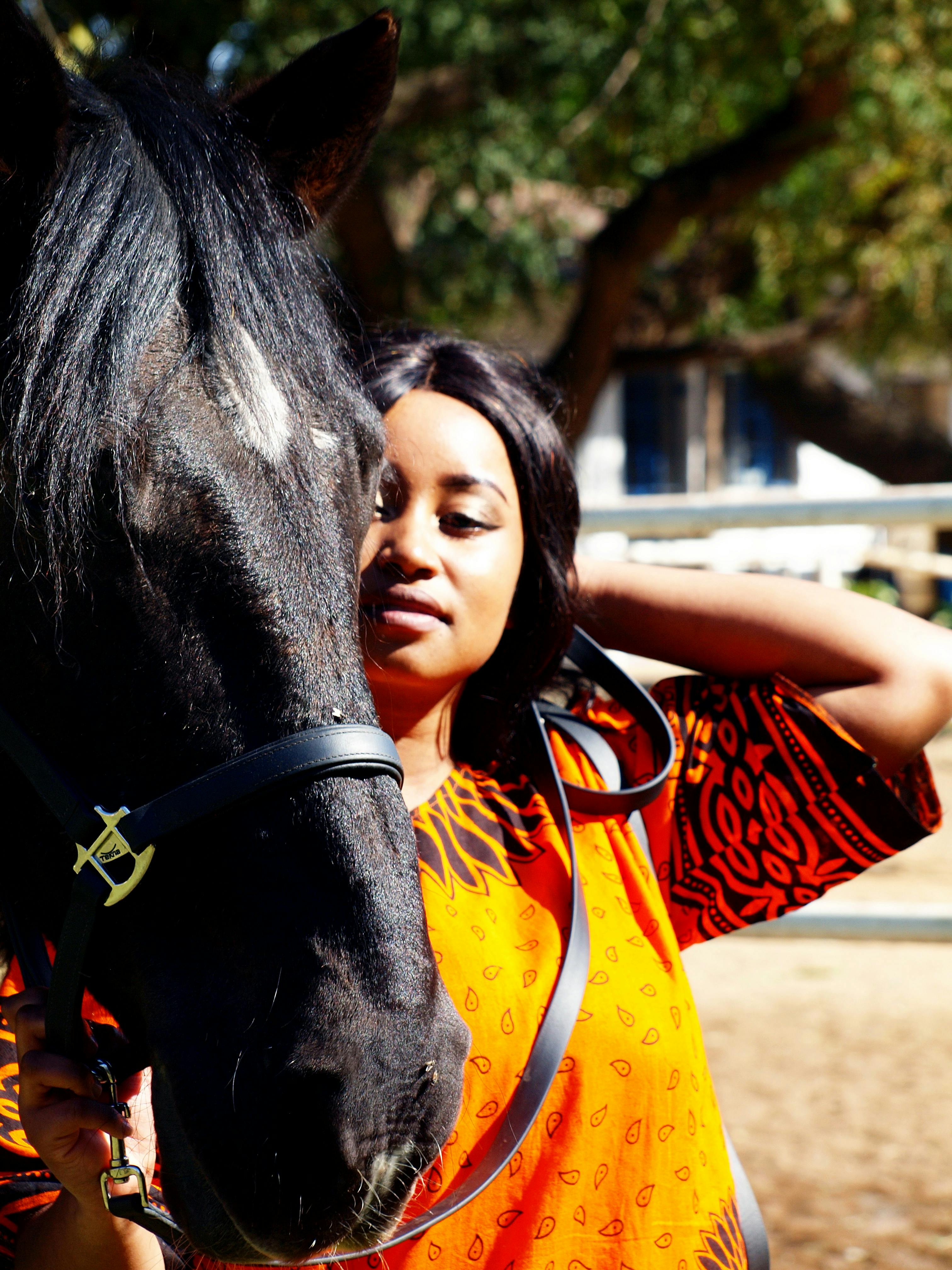 Free stock photo of beauiful, horse, model