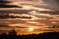 Silhouette of Trees at Golden Hour
