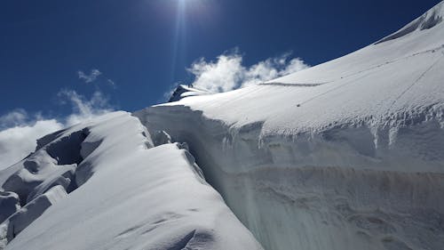 Sneeuw Veld