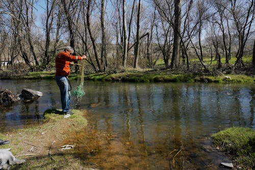 Бесплатное стоковое фото с активный отдых, бассейн, вода