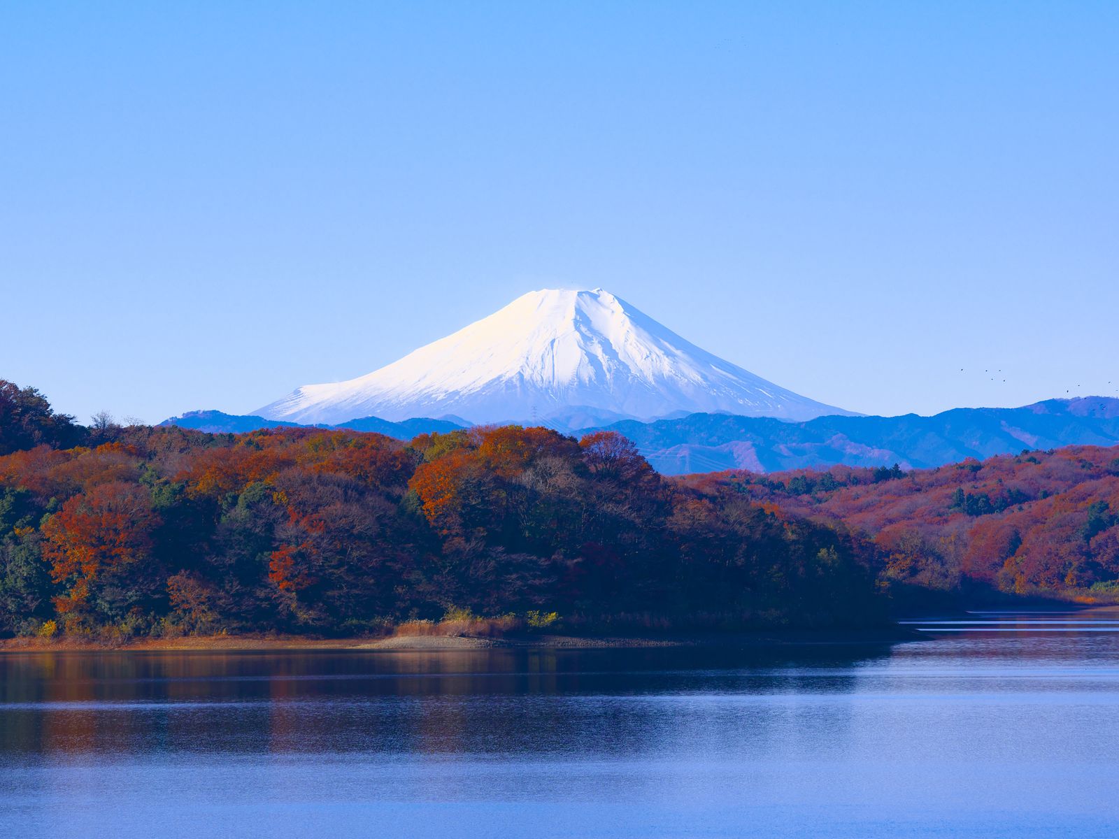 Japan 8 Nights 9 Days Complete Tour