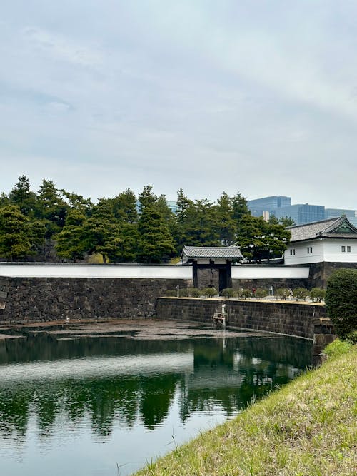 The castle is surrounded by water and trees